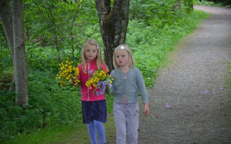 Blomstertur i Hundremeterskogen