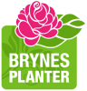 Brynes Planter